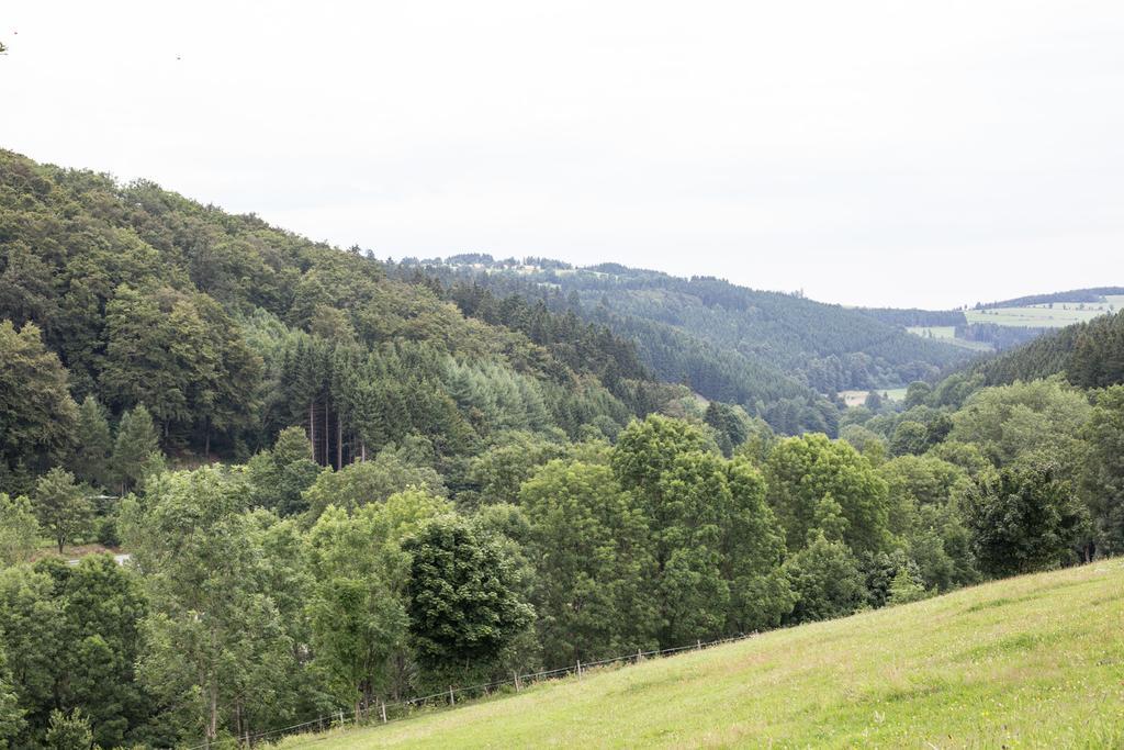 Ferienwohnung Ruhenest Willingen  Eksteriør bilde