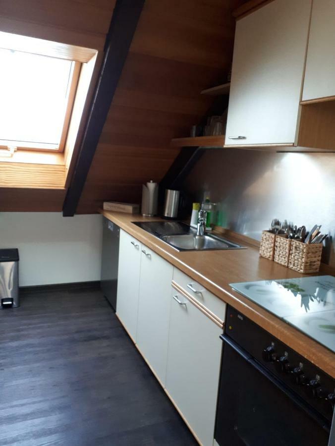 Ferienwohnung Ruhenest Willingen  Eksteriør bilde